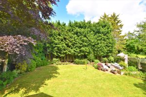 Photo 19- click for photo gallery